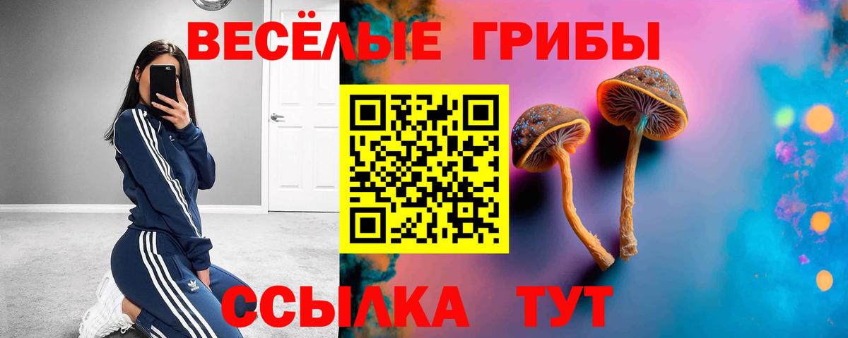 Галлюциногенные грибы Psilocybe  Галлюциногенные грибы Psilocybe  Вход с VPN  Белогорск 